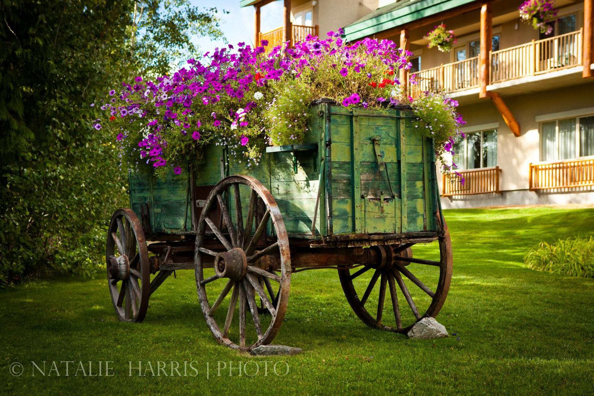 Coast Hillcrest Hotel Revelstoke Exterior photo